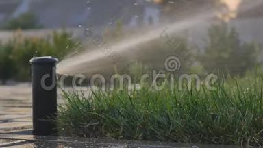 夏季园区草花自动浇水.. 喷雾器旋转和许多小水滴